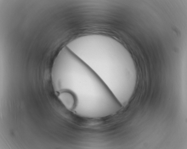 X0000114720555200910211054