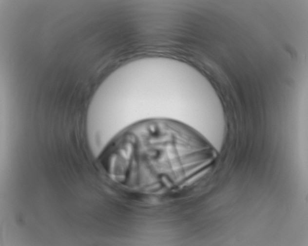 X0000114720558200910211054