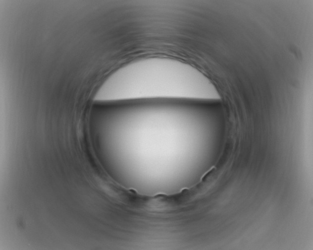 X0000114720562200910211054