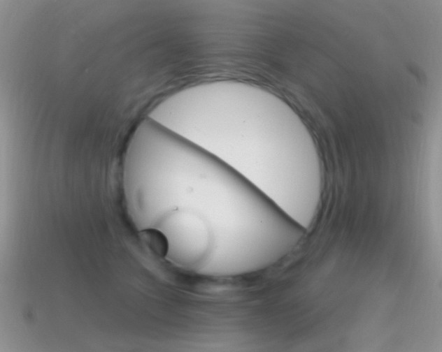 X0000114720563200910211054