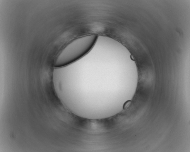 X0000114720565200910211054