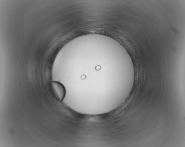 X0000114720569200910211054