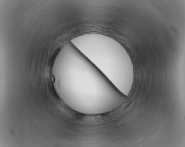 X0000114720571200910211054