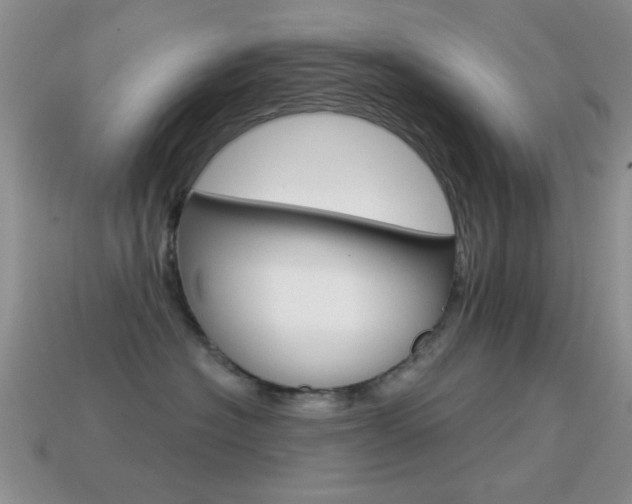 X0000114720574200910211054