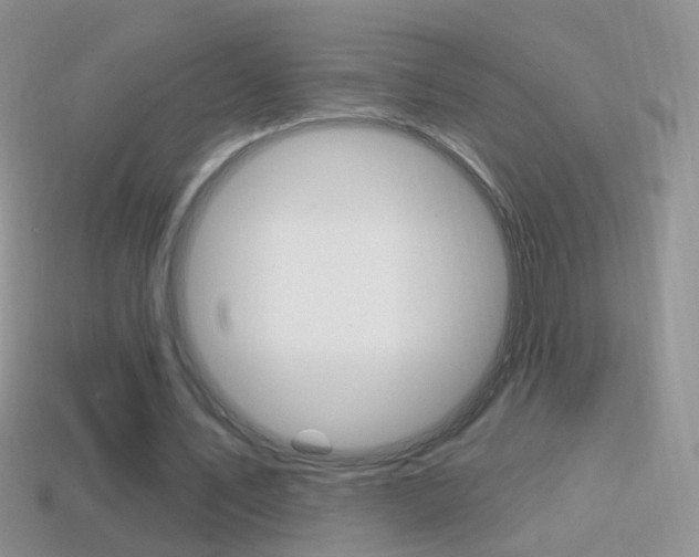 X0000114720579200910211053