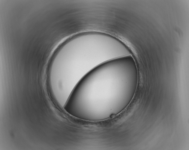 X0000114720580200910211053