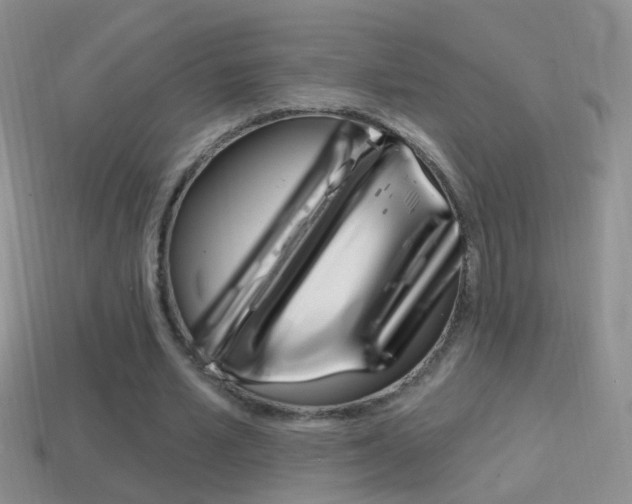 X0000114720581200910211053
