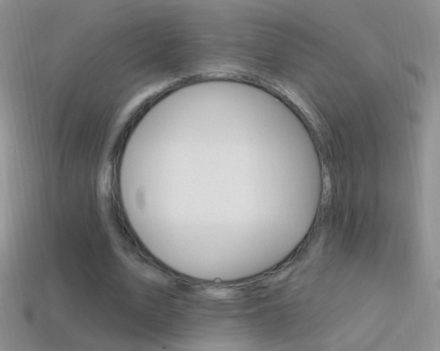 X0000114720583200910211053