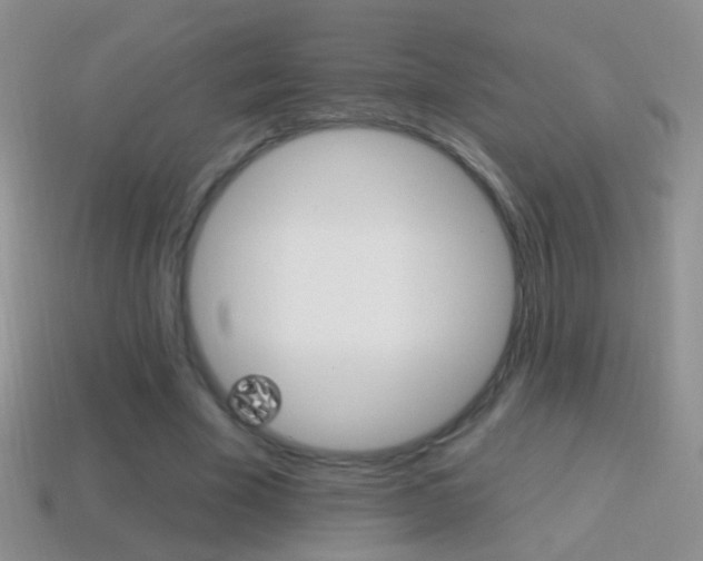 X0000114720585200910211053