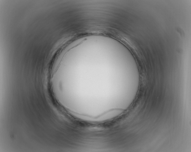 X0000114720586200910211053