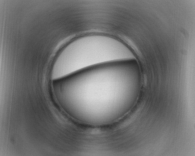 X0000114720588200910211053