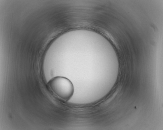 X0000114720589200910211053