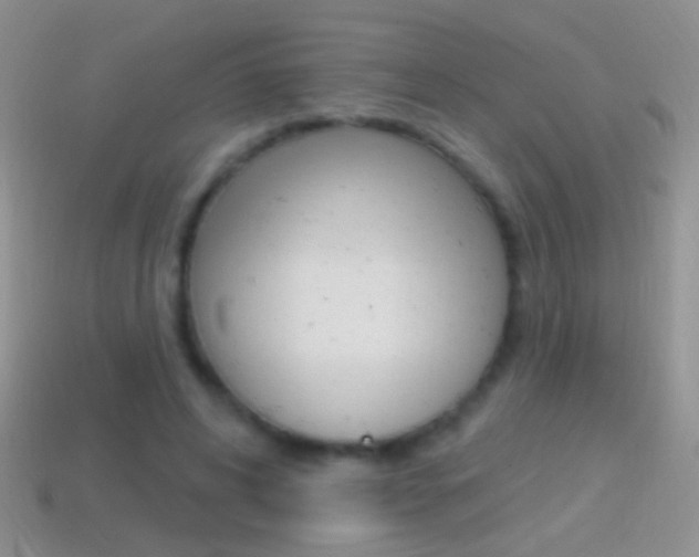 X0000114720592200910211053