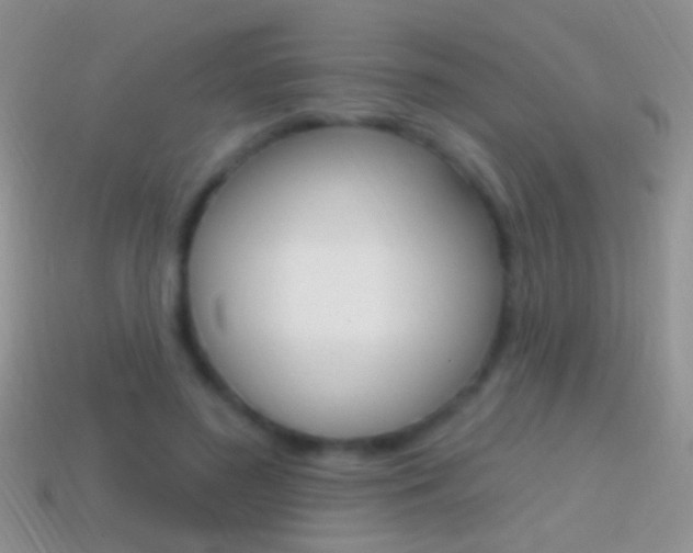X0000114720596200910211053