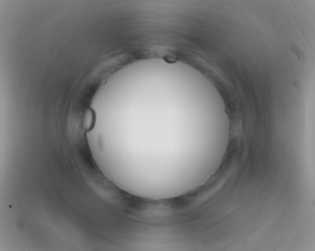 X0000114720599200910211053