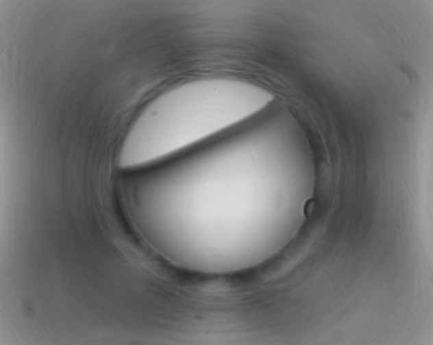 X0000114720600200910211053