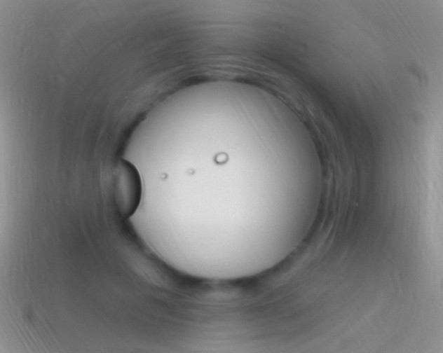 X0000114720601200910211053