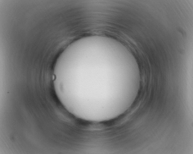 X0000114720603200910211053