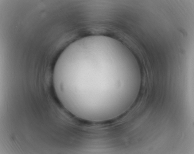 X0000114720604200910211053