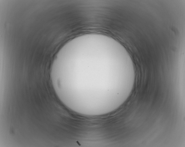 X0000114720609200910211053