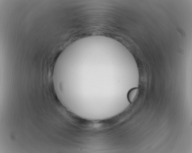 X0000114720610200910211053