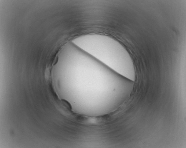 X0000114720611200910211053