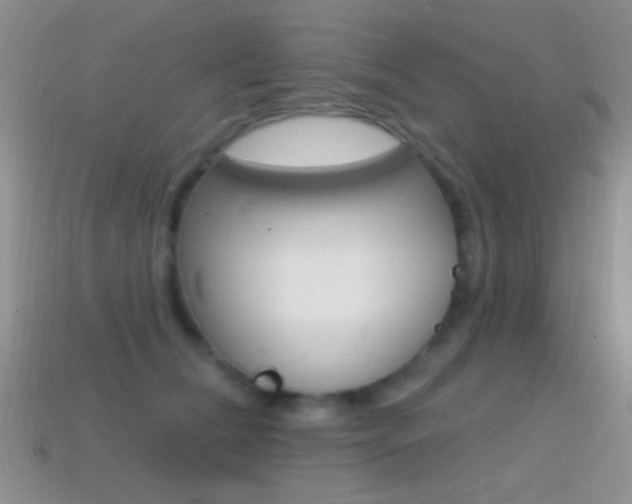 X0000114720612200910211053