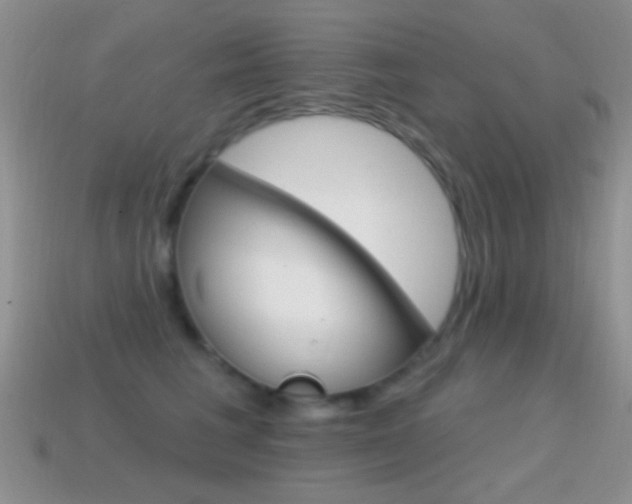 X0000114720613200910211053