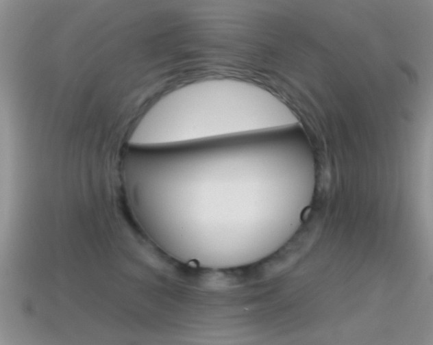X0000114720616200910211053