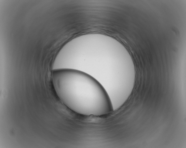 X0000114720617200910211053