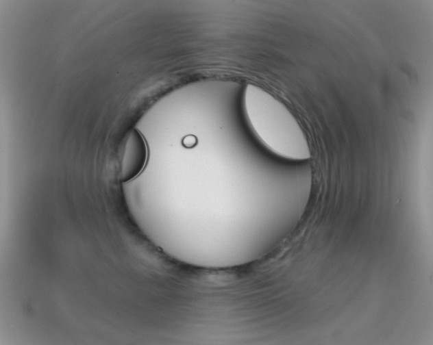X0000114720619200910211053