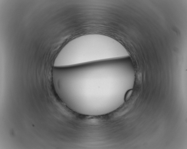 X0000114720620200910211053