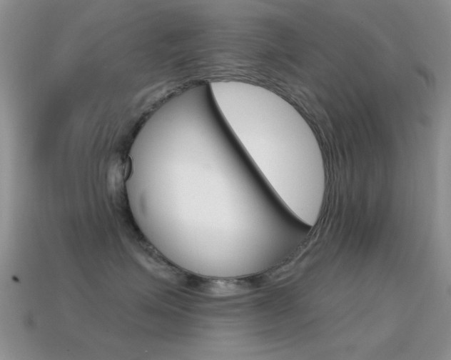 X0000114720623200910211053