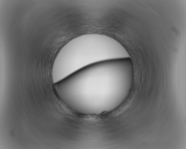 X0000114720624200910211053
