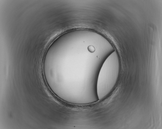 X0000114720625200910211052