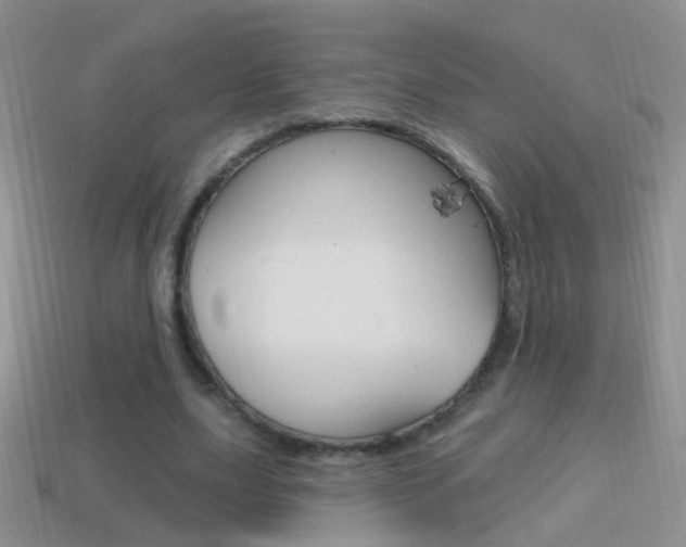 X0000114720631200910211052