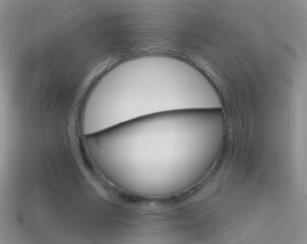 X0000114720634200910211052