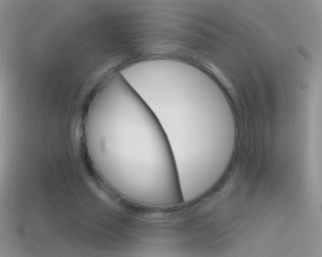 X0000114720637200910211052