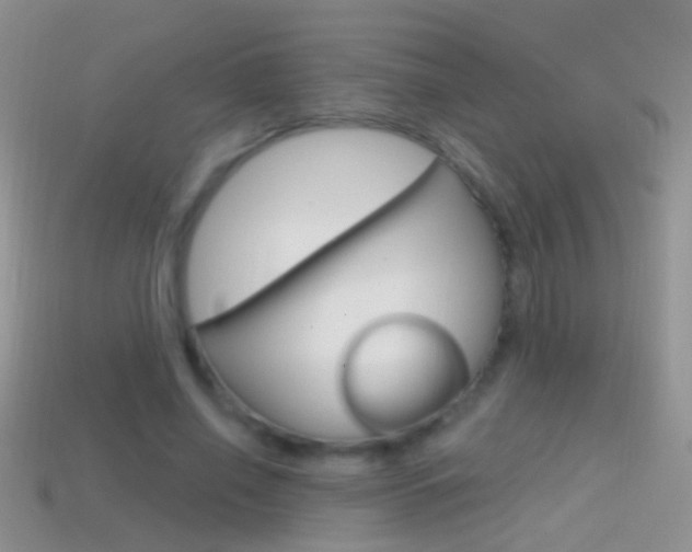 X0000114720638200910211052