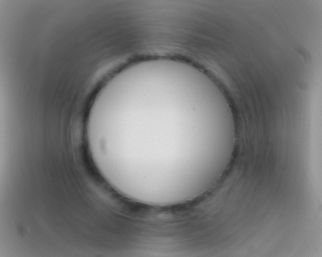 X0000114720640200910211052