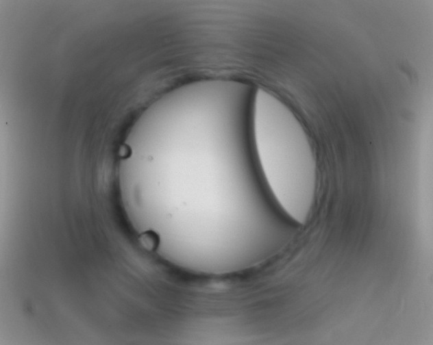 X0000114720647200910211052