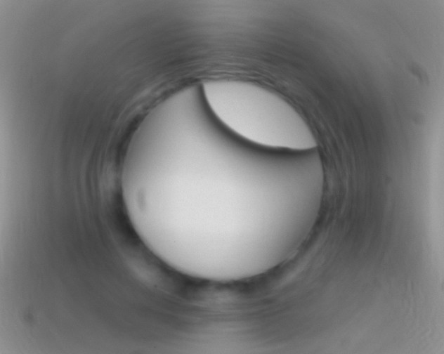 X0000114720648200910211052