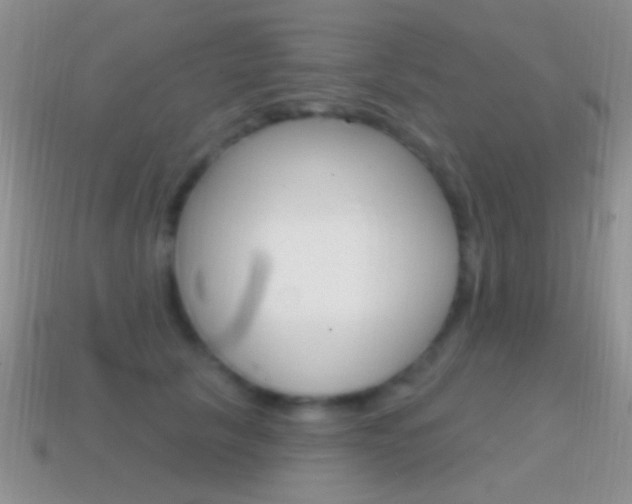 X0000114720657200910211052