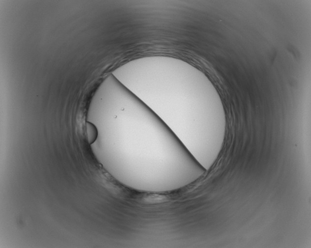 X0000114720669200910211053