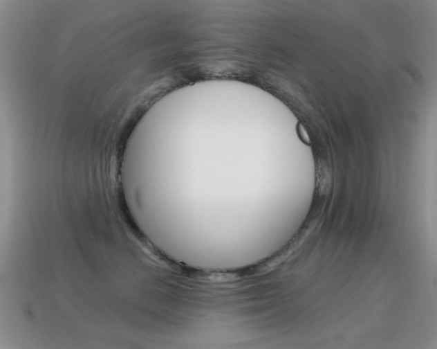 X0000114720670200910211053