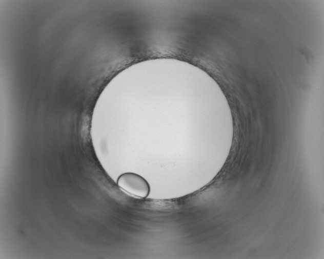 X0000114720672200910211053
