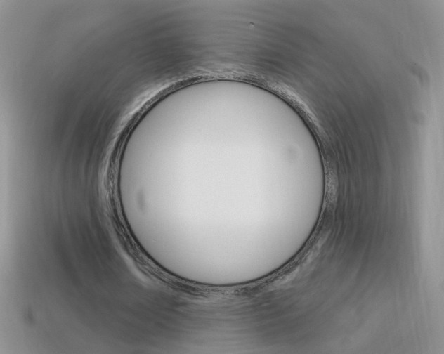 X0000114720674200910211052