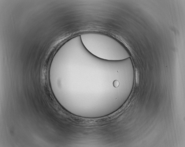 X0000114720675200910211052