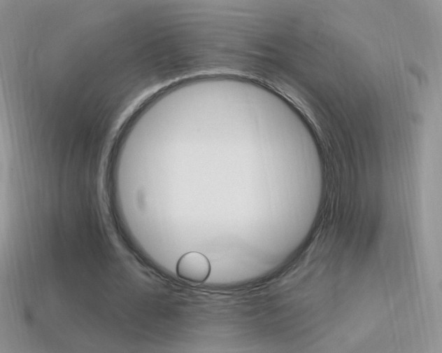 X0000114720676200910211052