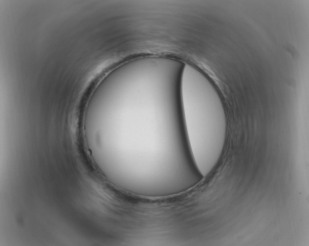X0000114720679200910211052